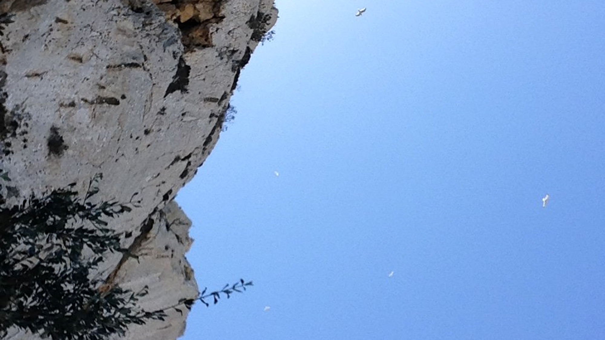 Team bei der Orientierung mit Karte und Kompass